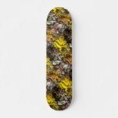 Künstlerpalette #1 skateboard (Vorne)