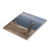 Künstlerrückzug Fliese (Seite)