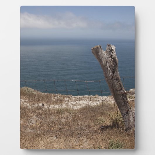 Künstlerrückzug Fotoplatte (Vorderseite)