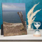 Künstlerrückzug Fotoplatte (Seite)