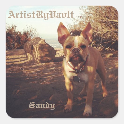 KünstlerRyVavlt Sandy Sticker (Vorderseite)