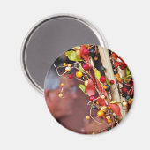 Künstliche Beeren Magnet (Vorderseite/Rückseite)