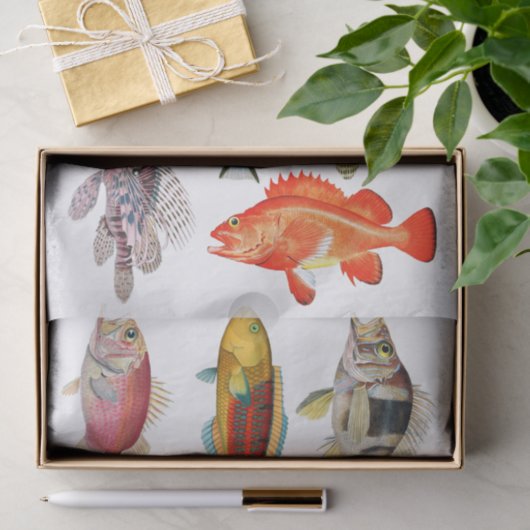 Künstliche Impressionen Meereslebewesen Arten Seidenpapier (Geschenk)