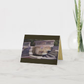 Künstliche Karte für einen Springbrunnen (Vorderseite)