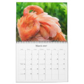 Künstliche Vögel Fotografische Kunst Kalender (Mär 2027)