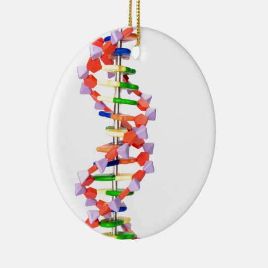 Künstliches DNS-Modell Keramikornament (Rechts)