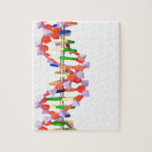 Künstliches DNS-Modell Puzzle (Vertikal)