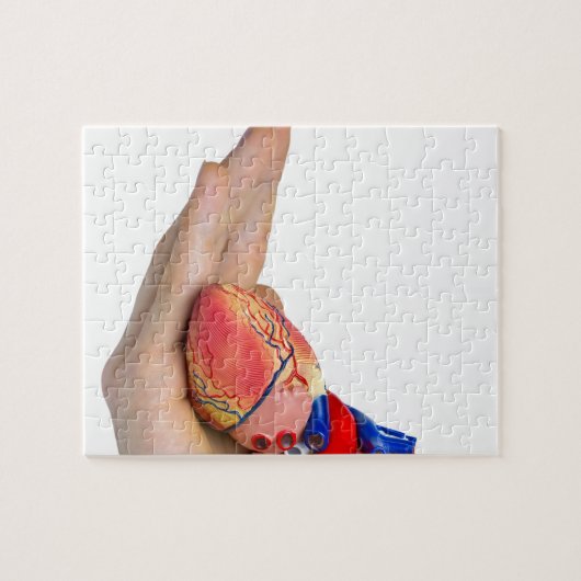 Künstliches menschliches Herzmodell an Hand Puzzle (Horizontal)