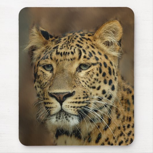 Kunstliebhaber Mousepad (Vorne)