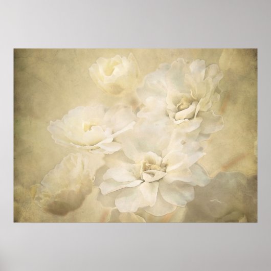 Kunstposter Antique Blossoms Poster (Vorne)