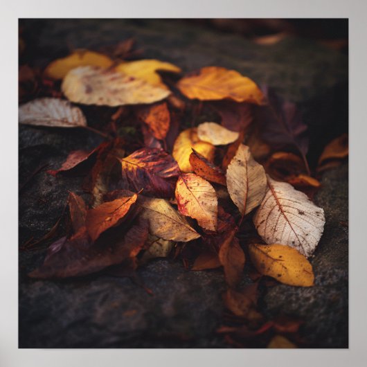 Kunstposter Herbstlaub Poster (Vorne)