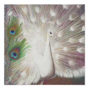 Kunstprint mit weißem Pfau und grünen Pfauenfedern Fotodruck