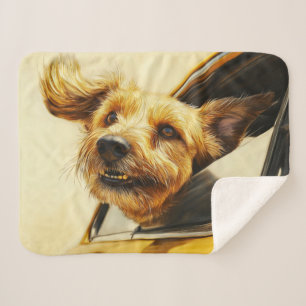 Kunstprint: Verspielter Hund genießt Autofahrt Sherpadecke