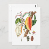 Kunstrasen - Vintage Kunst Postkarte (Vorne/Hinten)