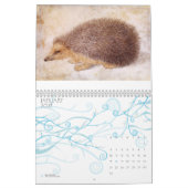 KUNSTSAMMLUNG/Tierzeichnungen 2013 Kalender (Jan 2027)