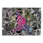 Kunstschmetterling (Vorderseite (Horizontal))