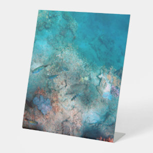 Kunststoff-Sockel-Schild 25x30 cm Sockelschild