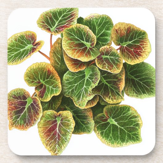 Kunststoff-Untersetzer aus Pilea Getränkeuntersetzer (Vorderseite)