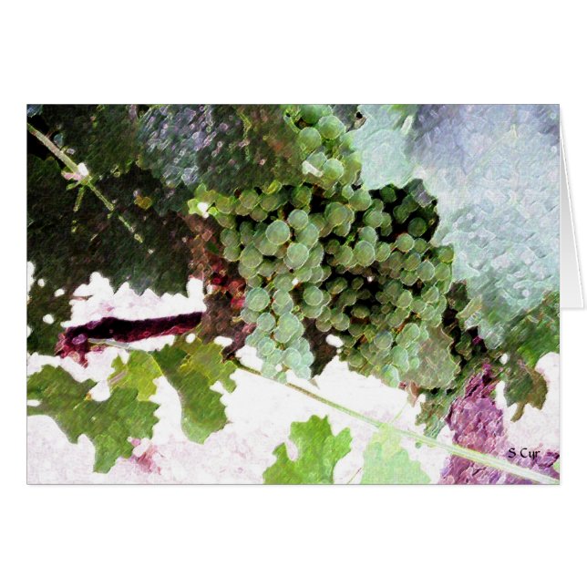 Kunsttrauben, S Cyr (Vorderseite (Horizontal))