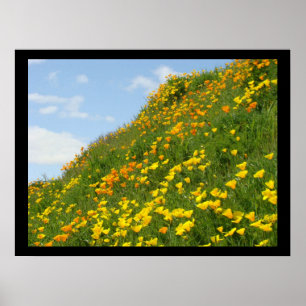 Kunstvolle Drucke Orange Mohnblumen Grüne Felder