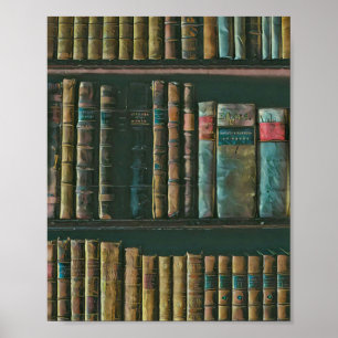 Kunstwerk für Bibliotheksliebhaber Poster