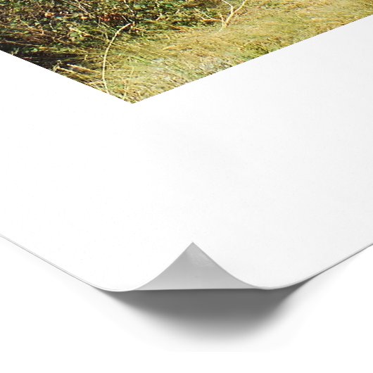 Kunstwerk im Park Rote Felsen Poster (Ecke)