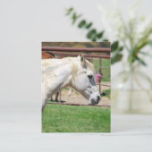 Kunstwerk Postkarte (Stehend Vorderseite)