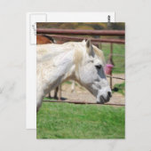 Kunstwerk Postkarte (Vorne/Hinten)