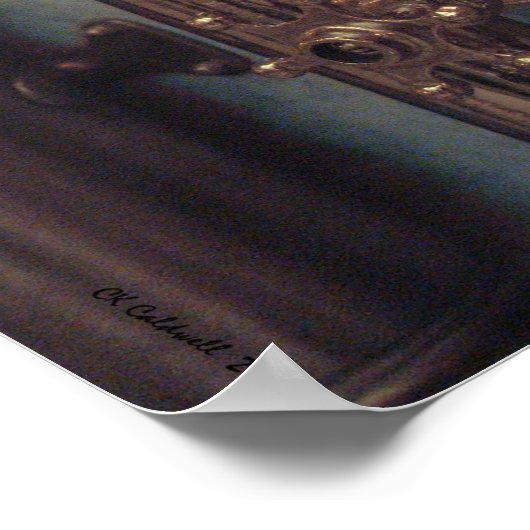 Kupfer Beauties Poster (Ecke)