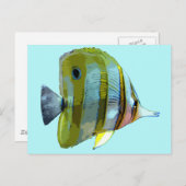 Kupfer-Butterfly Postkarte (Vorne/Hinten)