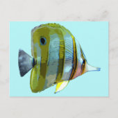 Kupfer-Butterfly Postkarte (Vorderseite)