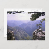 Kupfer Canyon Postkarte (Vorne/Hinten)