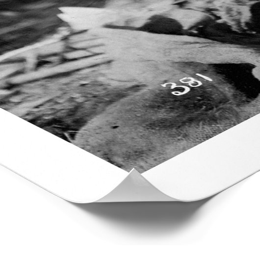 Kupfer-Fluss Alaska 1904 Poster (Ecke)