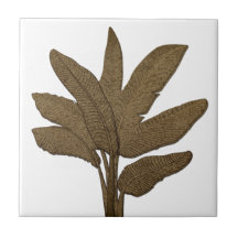 Kupfer Look Banana Pflanze Blätter Weiß