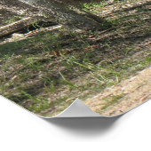 Kupfer rot poster (Ecke)