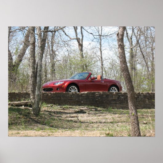 Kupfer rot poster (Vorne)