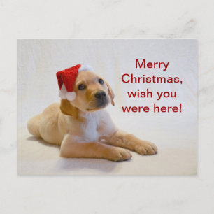 "Kupfer" sagt frohe Weihnachten! Feiertagspostkarte