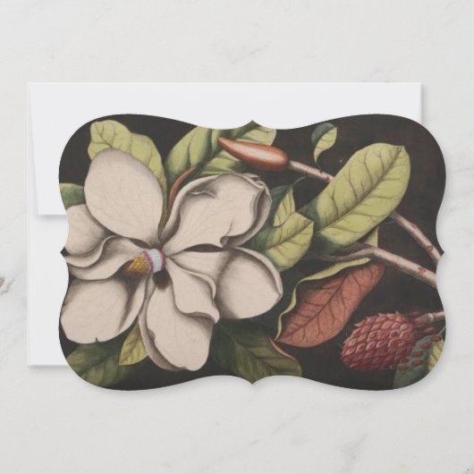 Kupfer und Elfenbein Magnolia Geenery Wedding Einl Einladung (Rückseite)