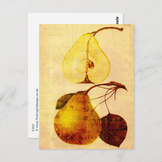 Kupferbirne Postkarte (Vorne/Hinten)