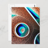 Kupferblau Postkarte (Vorne/Hinten)