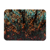 Kupferborealis Magnet (Horizontal)