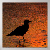 KupferSunset Poster (Vorne)