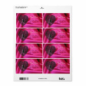 KUPID LACE HERZ, FUCHSIA SILK KLOTH, rosa schwarz (Vorne)