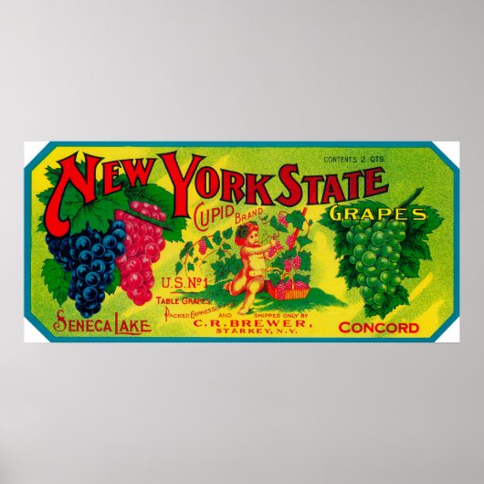 Kupider TraubensiegelStarkey, NY Poster (Vorne)