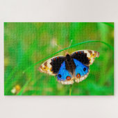 Kupu Kupu Butterfly Puzzle (Horizontal)