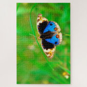 Kupu Kupu Butterfly Puzzle (Vertikal)