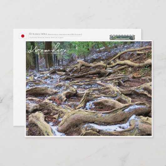 Kurama-dera (Kinone-michi tree roots road) ポストカード Postkarte (Vorne/Hinten)