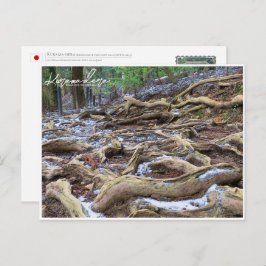 Kurama-dera (Kinone-michi tree roots road) ポストカード Postkarte