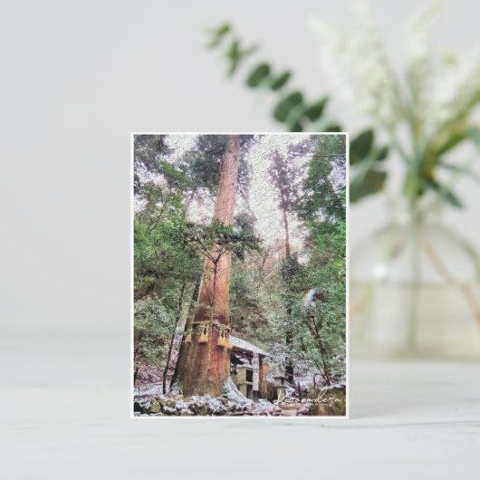 Kurama-dera (Yoshitsune-do hall) Postkarte (Stehend Vorderseite)