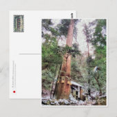 Kurama-dera (Yoshitsune-do hall) Postkarte (Vorne/Hinten)